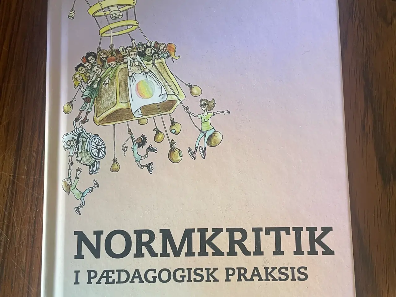 Billede 1 - 'Normkritik i pædagogisk praksis'