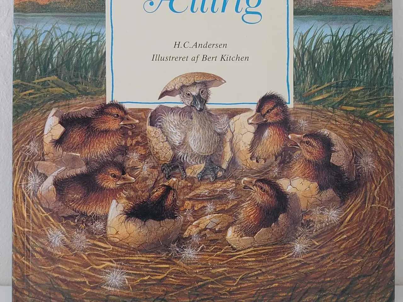 Billede 1 - H.C. Andersen: Den grimme Ælling. Oplag fra 1996.