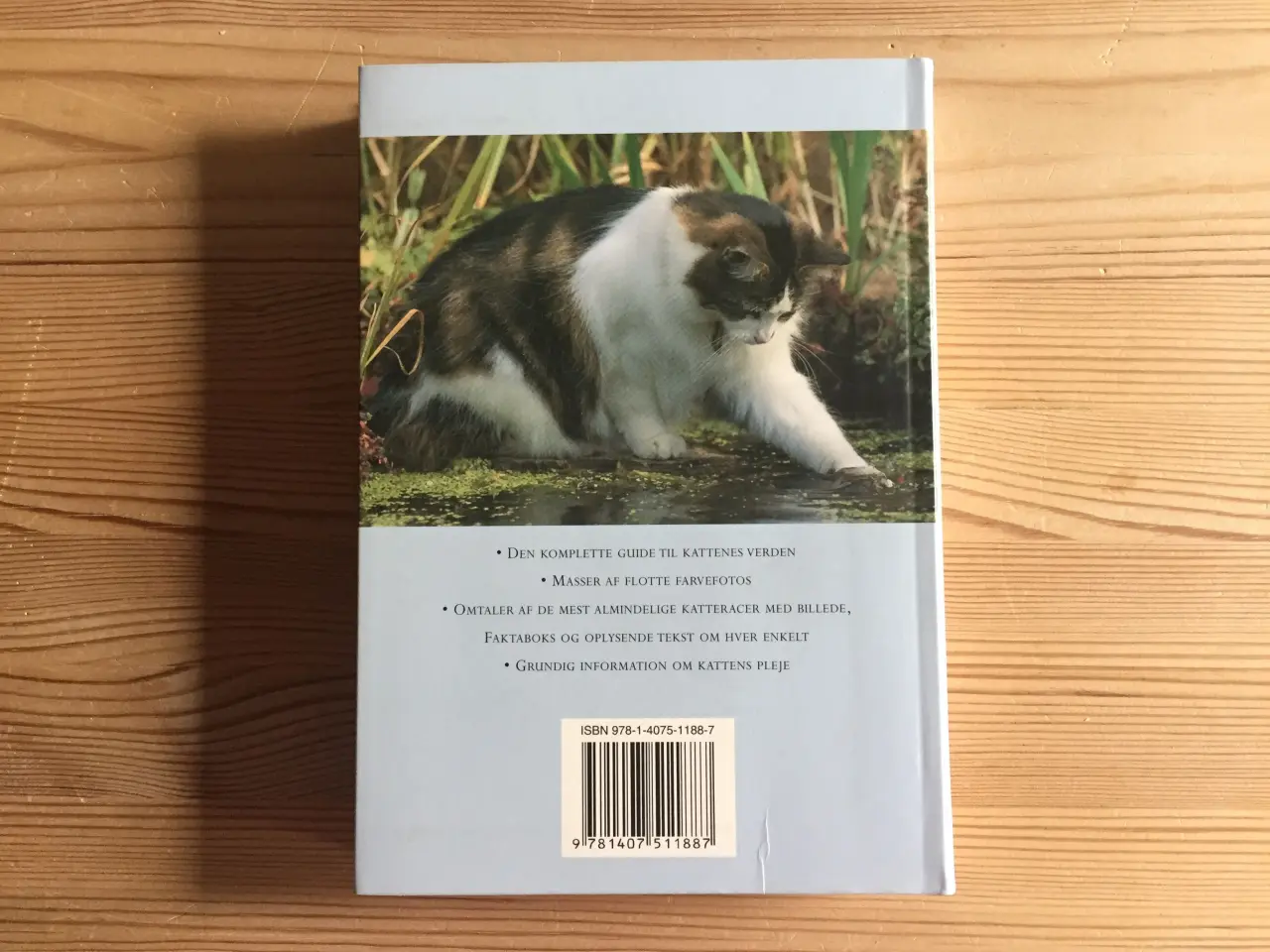 Billede 2 - Bogen KATTE