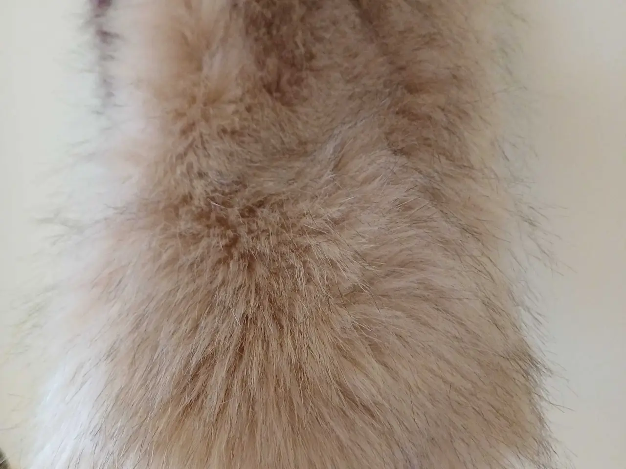 Billede 4 - Sfera faux fur halstørklæde