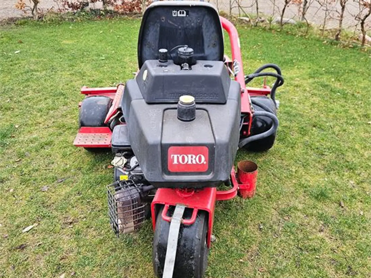 Billede 5 - Toro Greensmaster 3100 - Cylinder lawn mower - With 3 verticutter heads