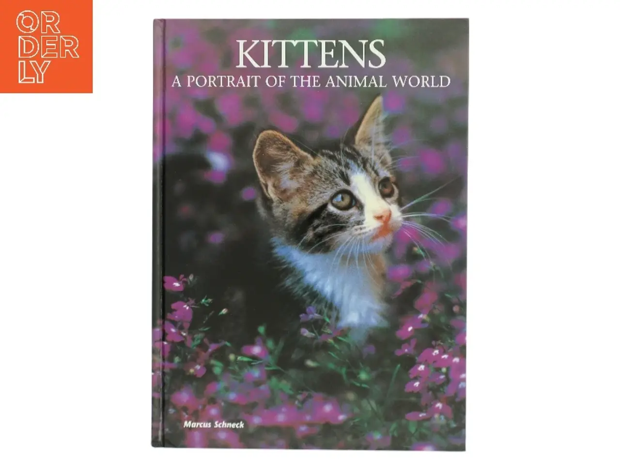 Billede 1 - Kittens af Marcus Schneck (Bog)