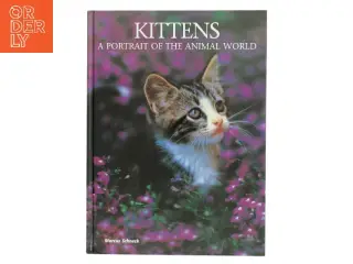 Kittens af Marcus Schneck (Bog)
