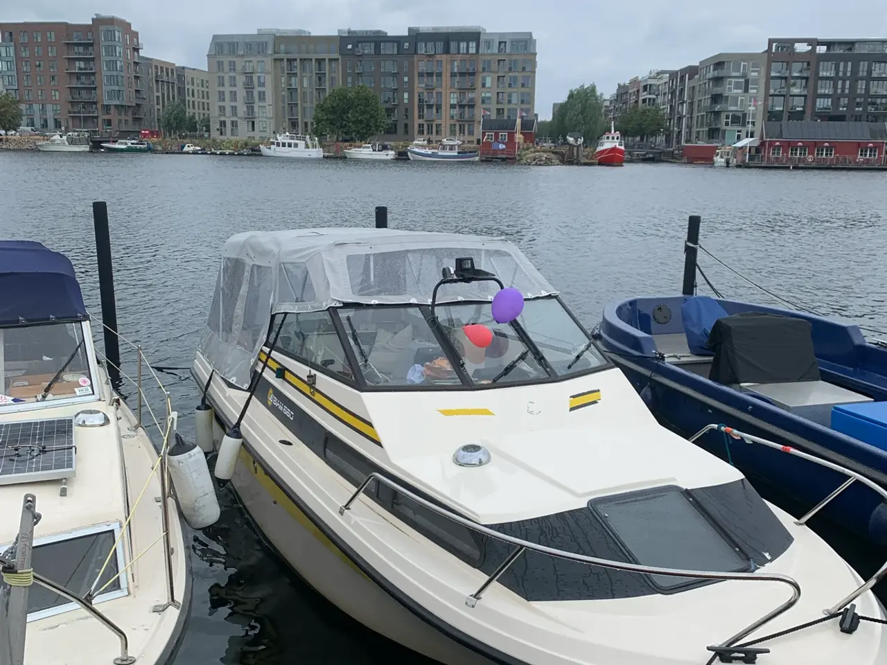 Billede 2 - Biam 660 - motor fra 2019 kun 147 timer