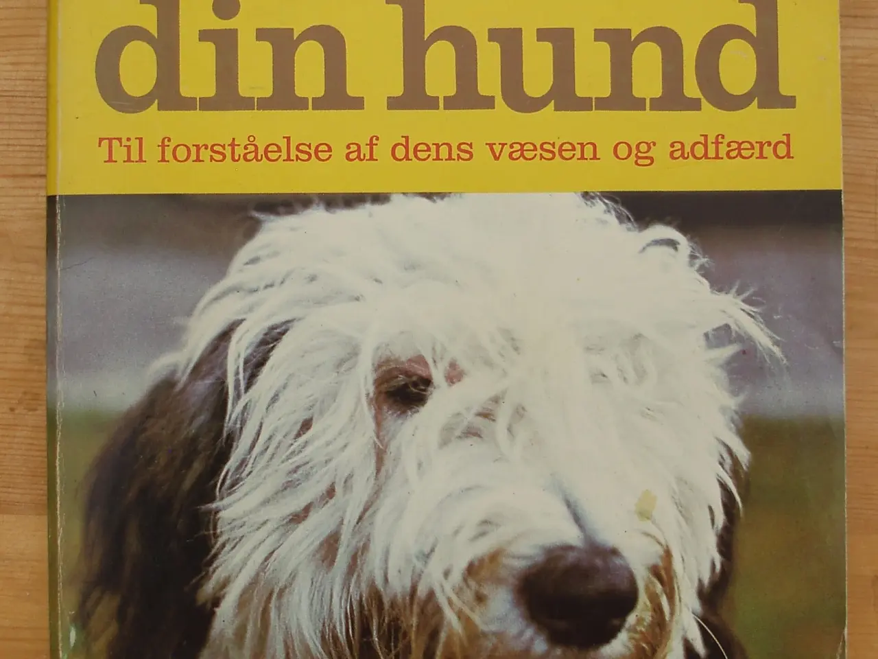 Billede 1 - Dus med din hund af Eberhard Trumler