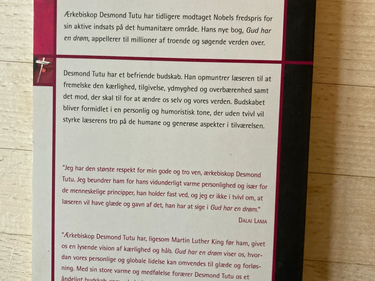 Billede 2 - Gud har en drøm: en vision om håb for vor tid