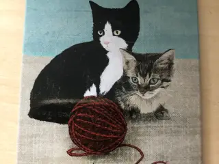 Magnet - Cats and Kittens