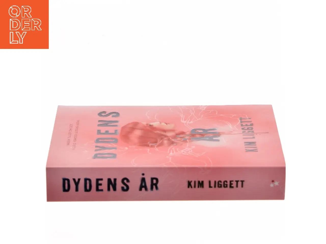 Billede 2 - Dydens år af Kim Liggett (Bog)