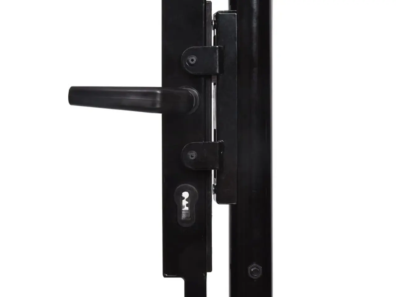 Billede 4 - Dobbeltdørs hegnslåge med spydtop - Woerden, 400 × 174,5 cm, sort