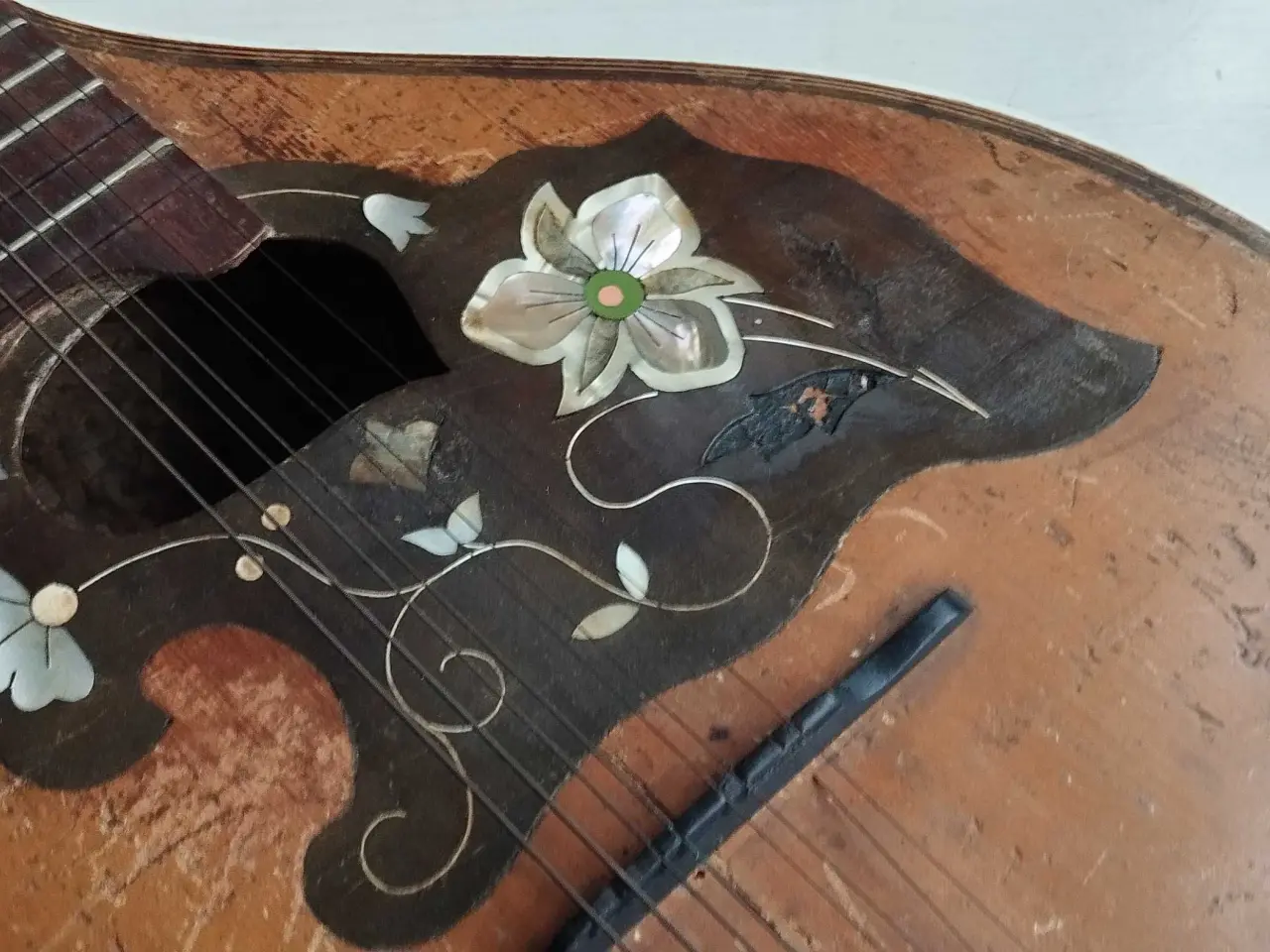 Billede 5 - Mandolin antik