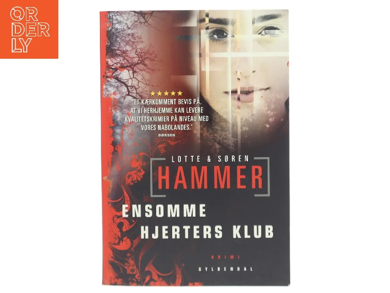 Billede 1 - Ensomme hjerters klub : kriminalroman af Lotte Hammer (Bog)