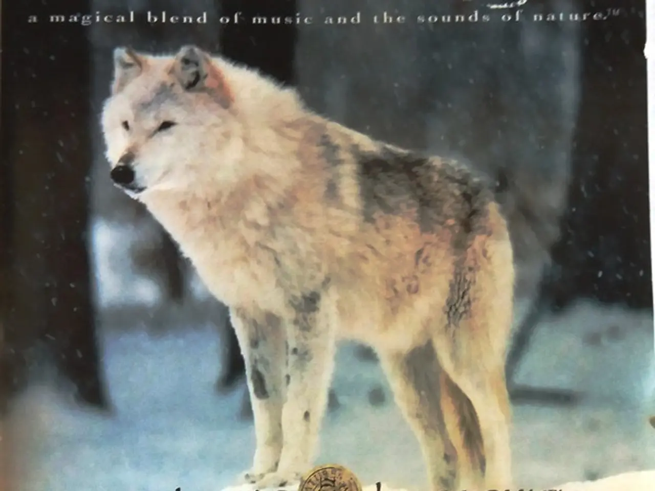 Billede 1 - Skip Adams & Ron Fish – Wolf Magic – CD