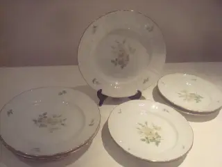 B&G Klitrose