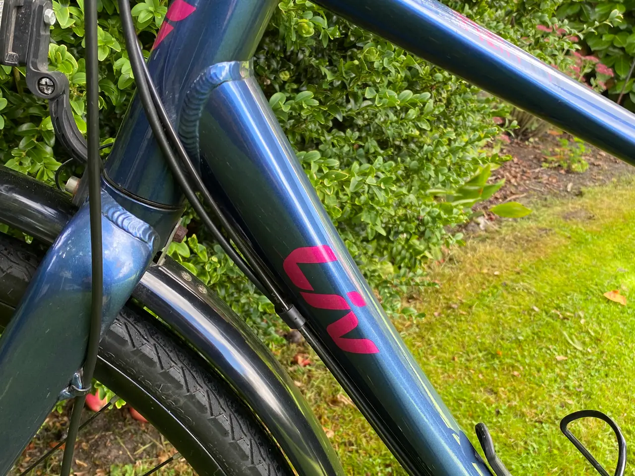 Billede 9 - Giant Damecykel