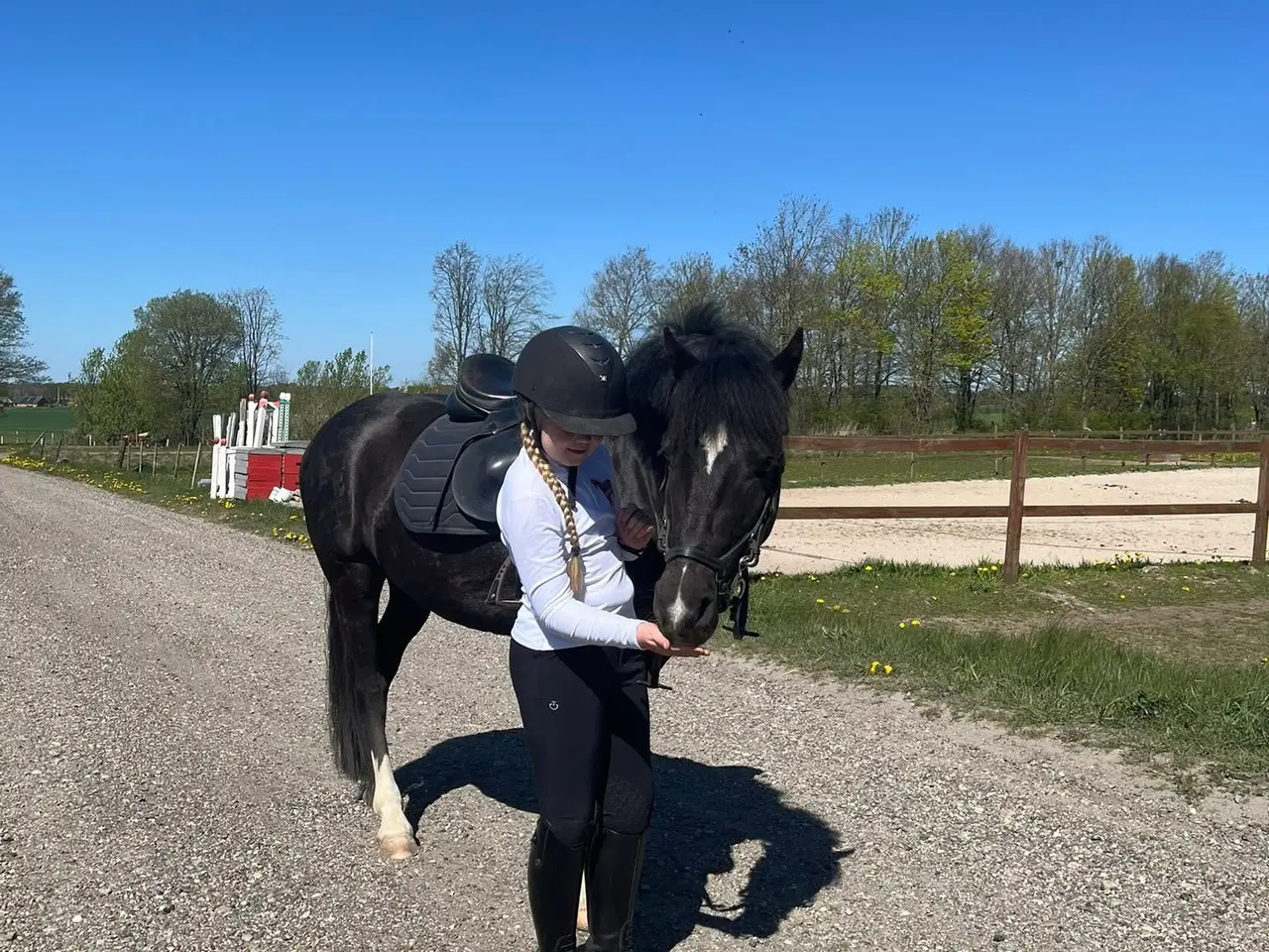 Billede 12 - Max kat 3,super børnepony