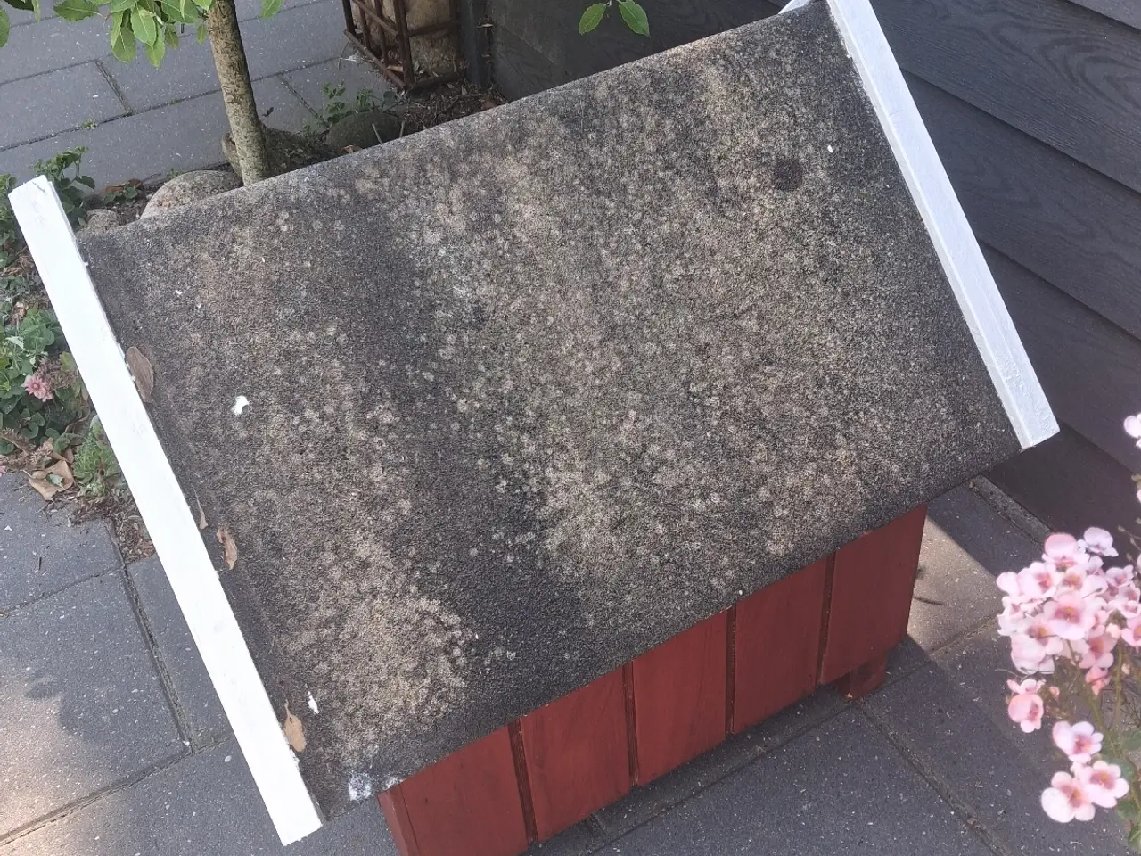 Billede 2 - KATTEHUS...