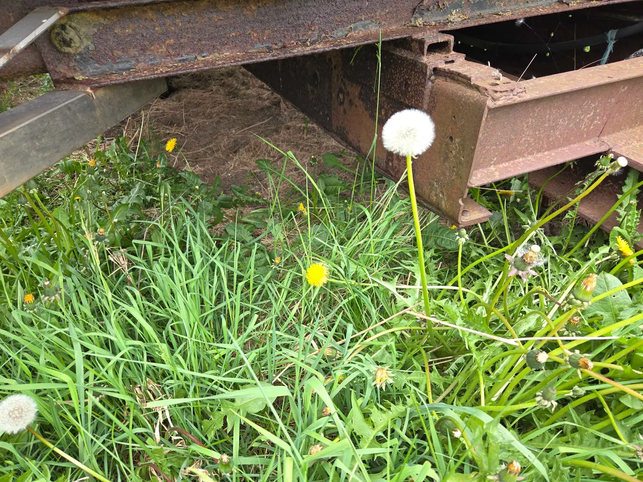 Billede 6 - Gammel Tipvogn