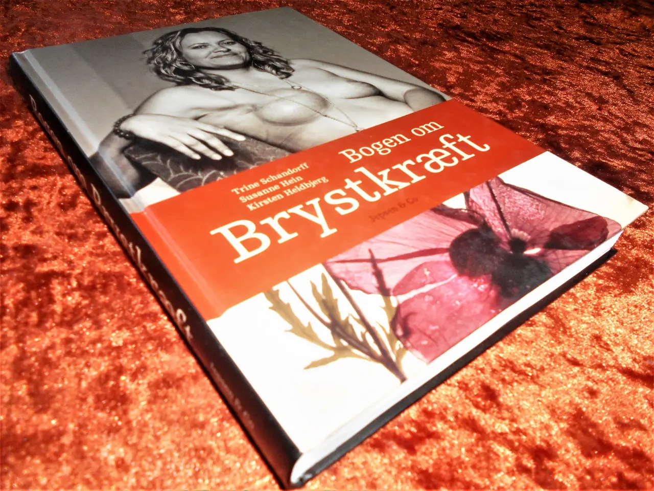 Billede 1 - Bogen om brystkræft, Trine Schandorff, m.fl.