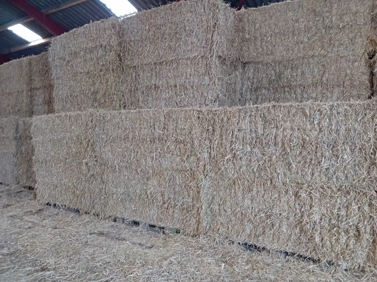 Billede 1 - Halm i minibig