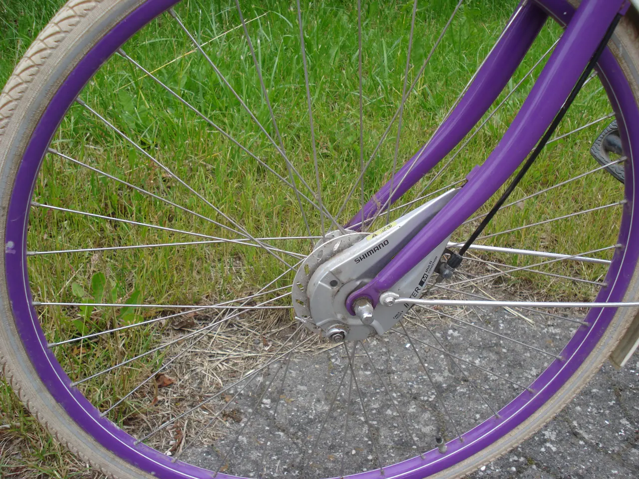 Billede 3 - Cykel til pige/dame, Raleigh classic de luxe