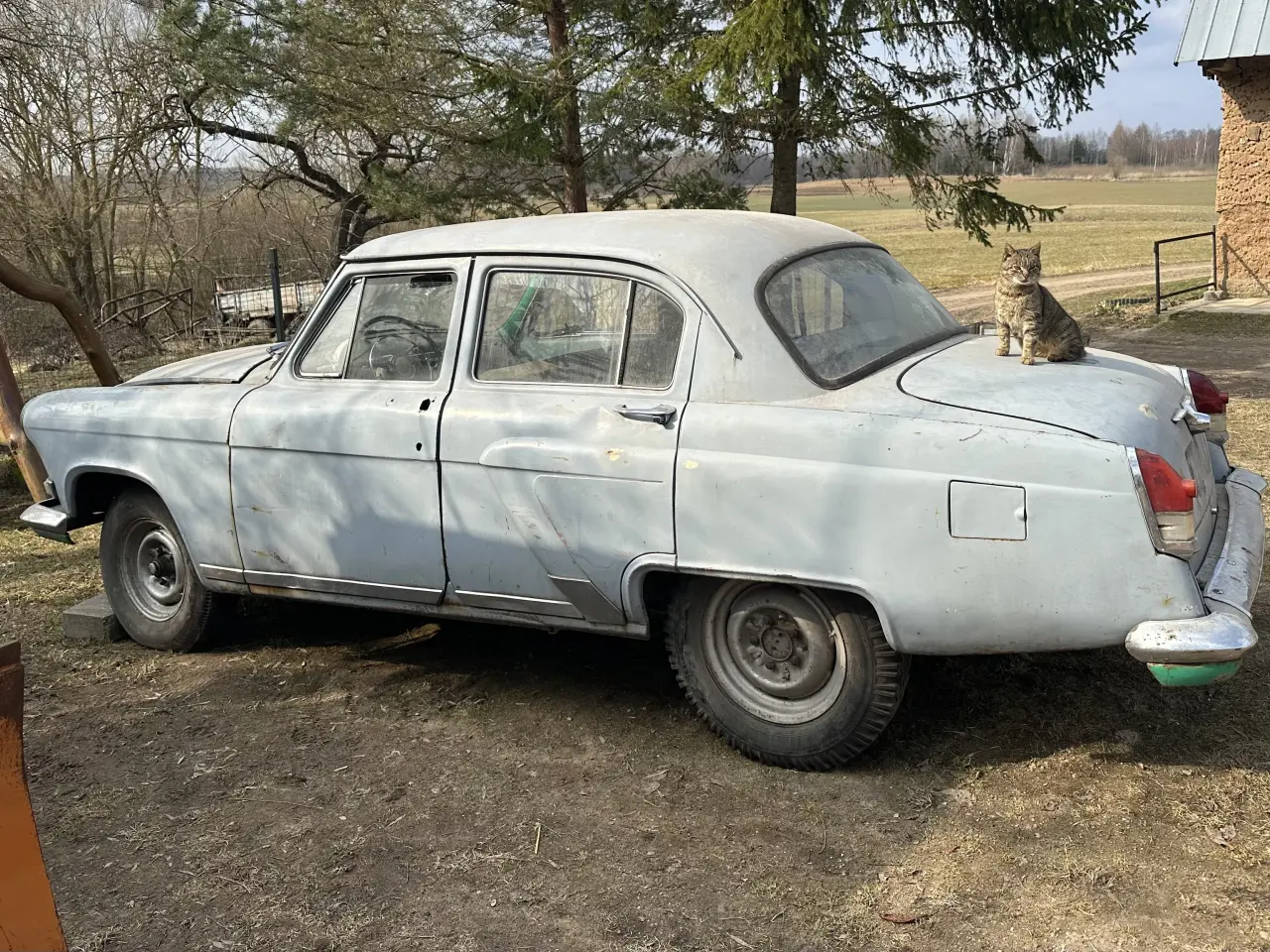 Billede 11 - Gaz 21 wolga, volga