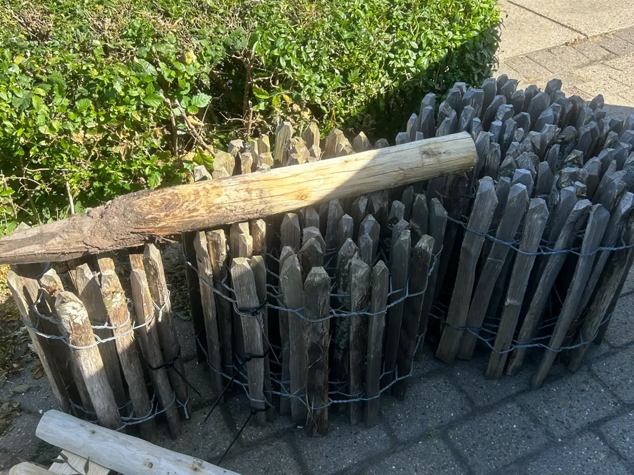 Billede 1 - Kastaniehegn højde 50 cm