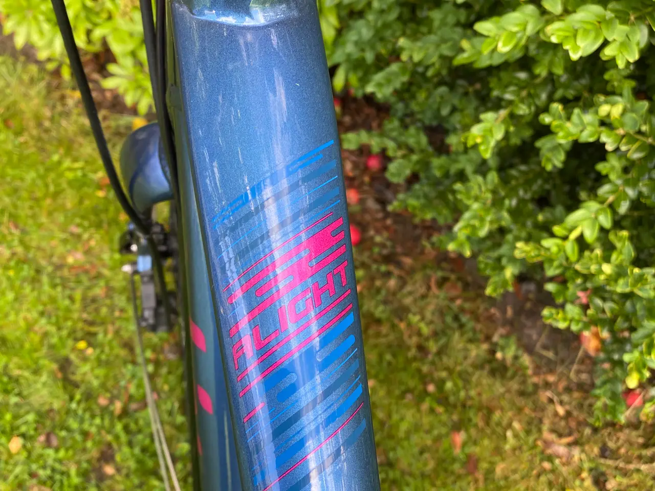 Billede 7 - Giant Damecykel