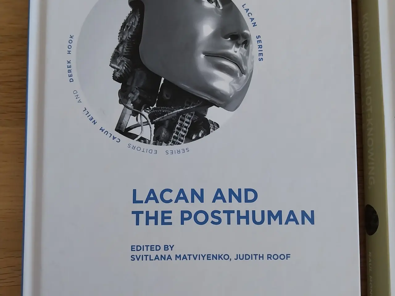 Billede 5 - The Palgrave Lacan Series, fra: