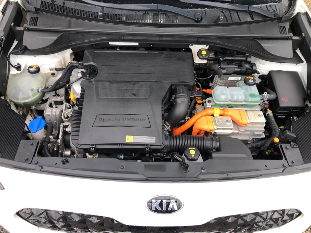 Billede 13 - Kia Niro 1,6 PHEV Advance+ DCT