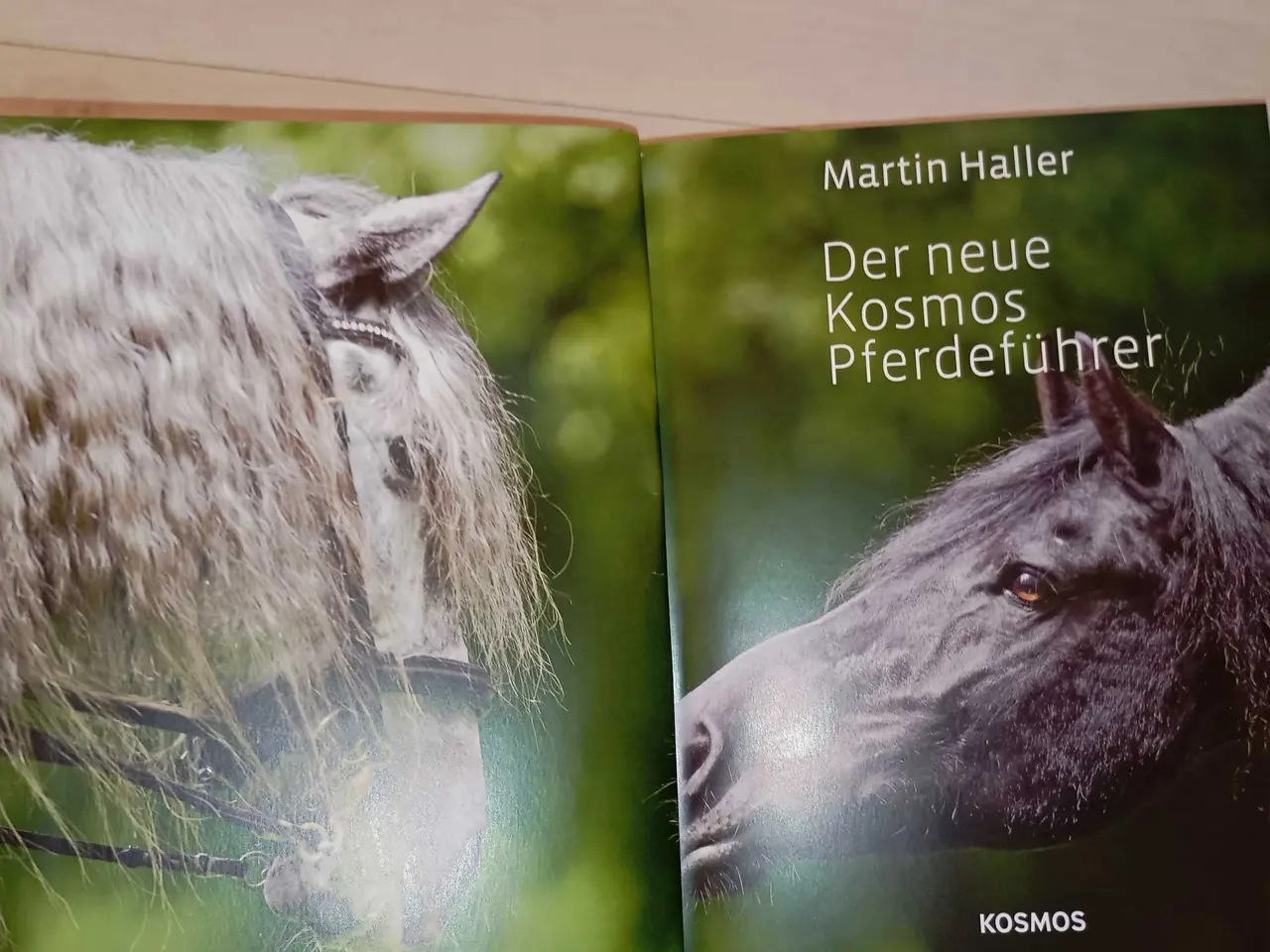 Billede 7 - Verdens pony og hesteracer. Flot bog