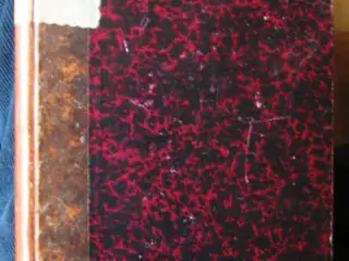 Erik Lie: Honoré de Balzac Mennesket og kunstneren