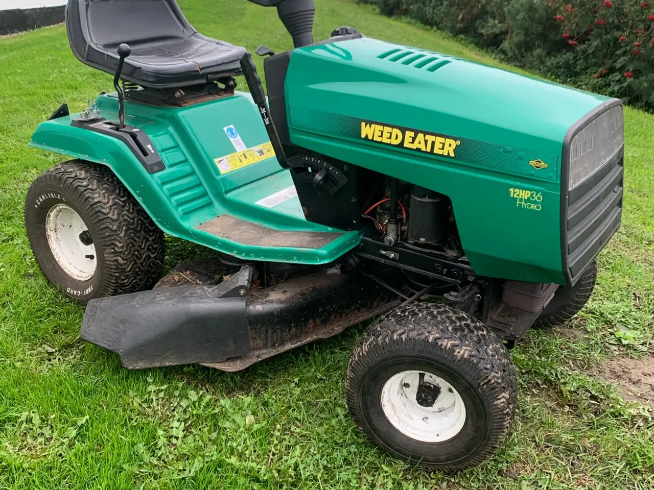 Billede 2 - 12 hk weed eater