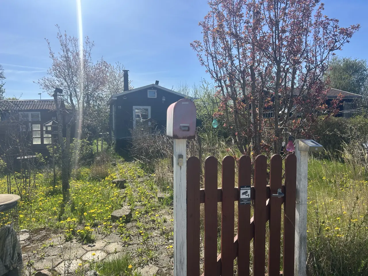 Billede 3 - Kolonihave i Trappehaverne HF. Svendborg 