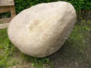 Kampesten
