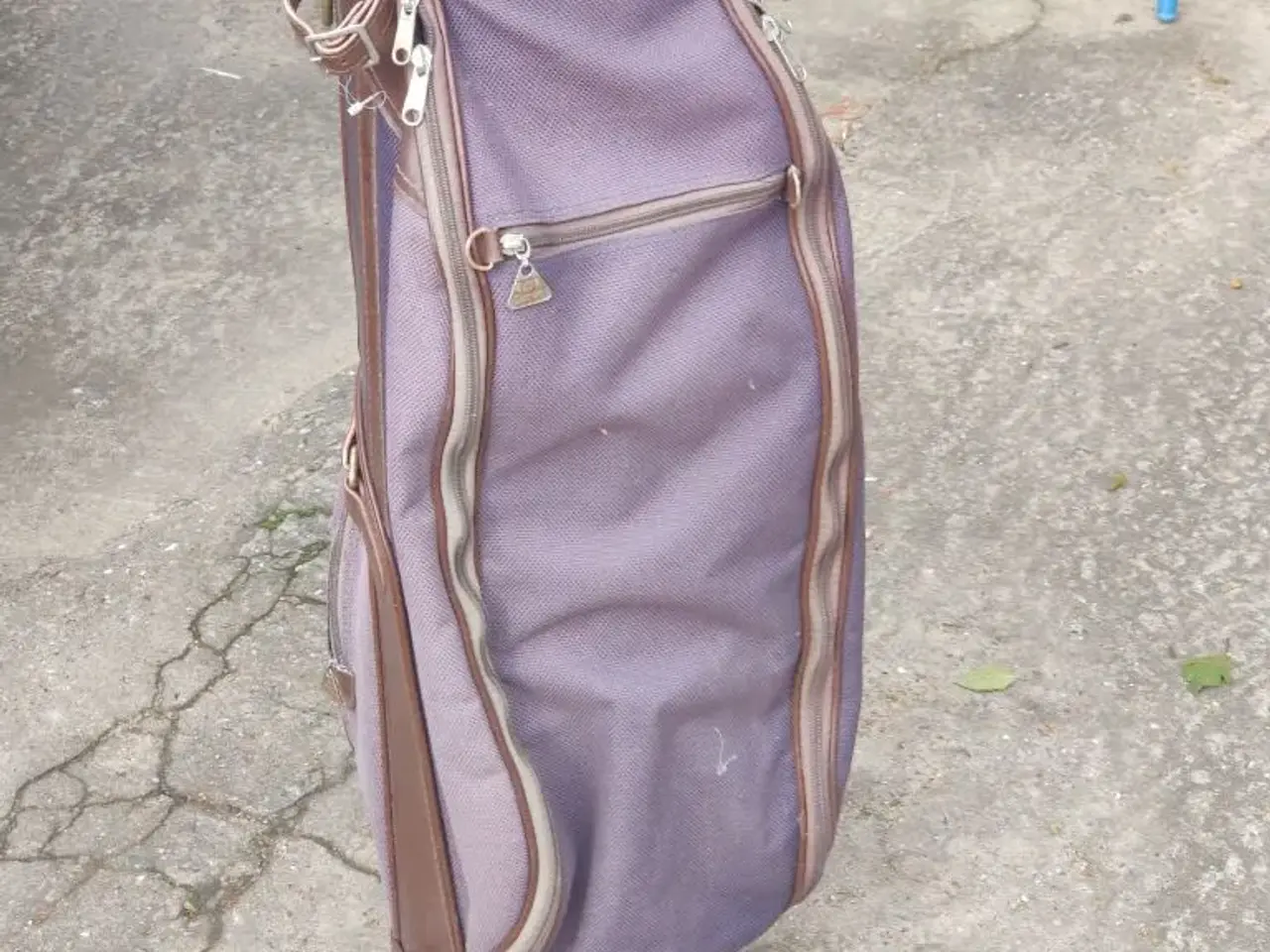 Billede 2 - Golfbærebag DAIWA