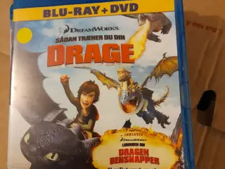 Sådan træner du din drage