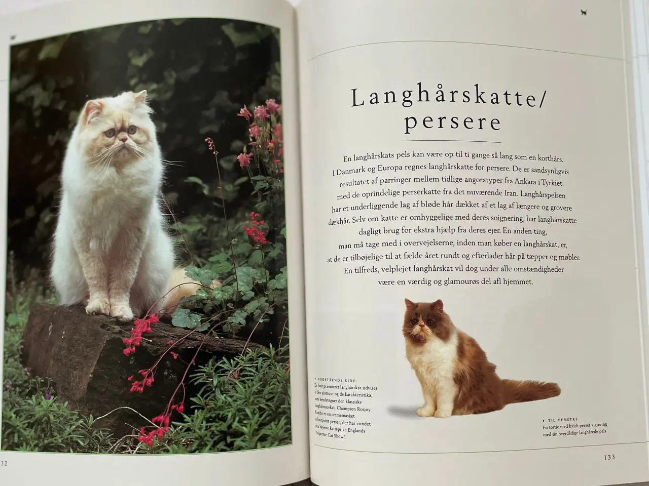 Billede 2 - Bog Kattepleje og katteracer