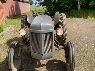 Ferguson 31