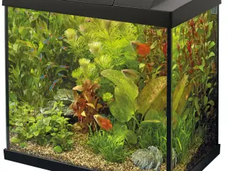 SuperFish Start 30 Tropical akvariestartsæt – 25 L