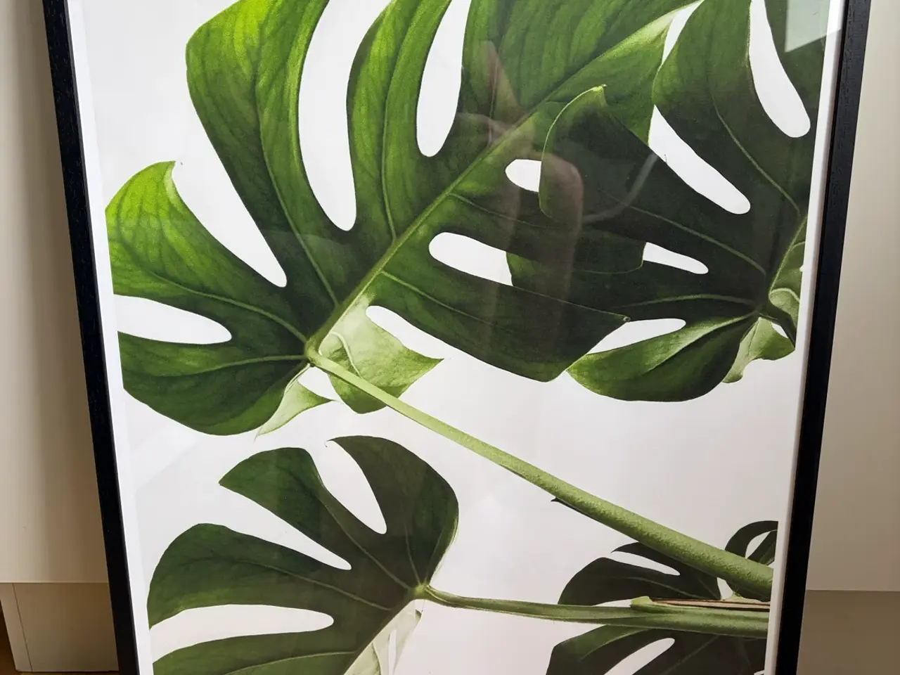 Billede 1 - Plakat af plante m ramme
