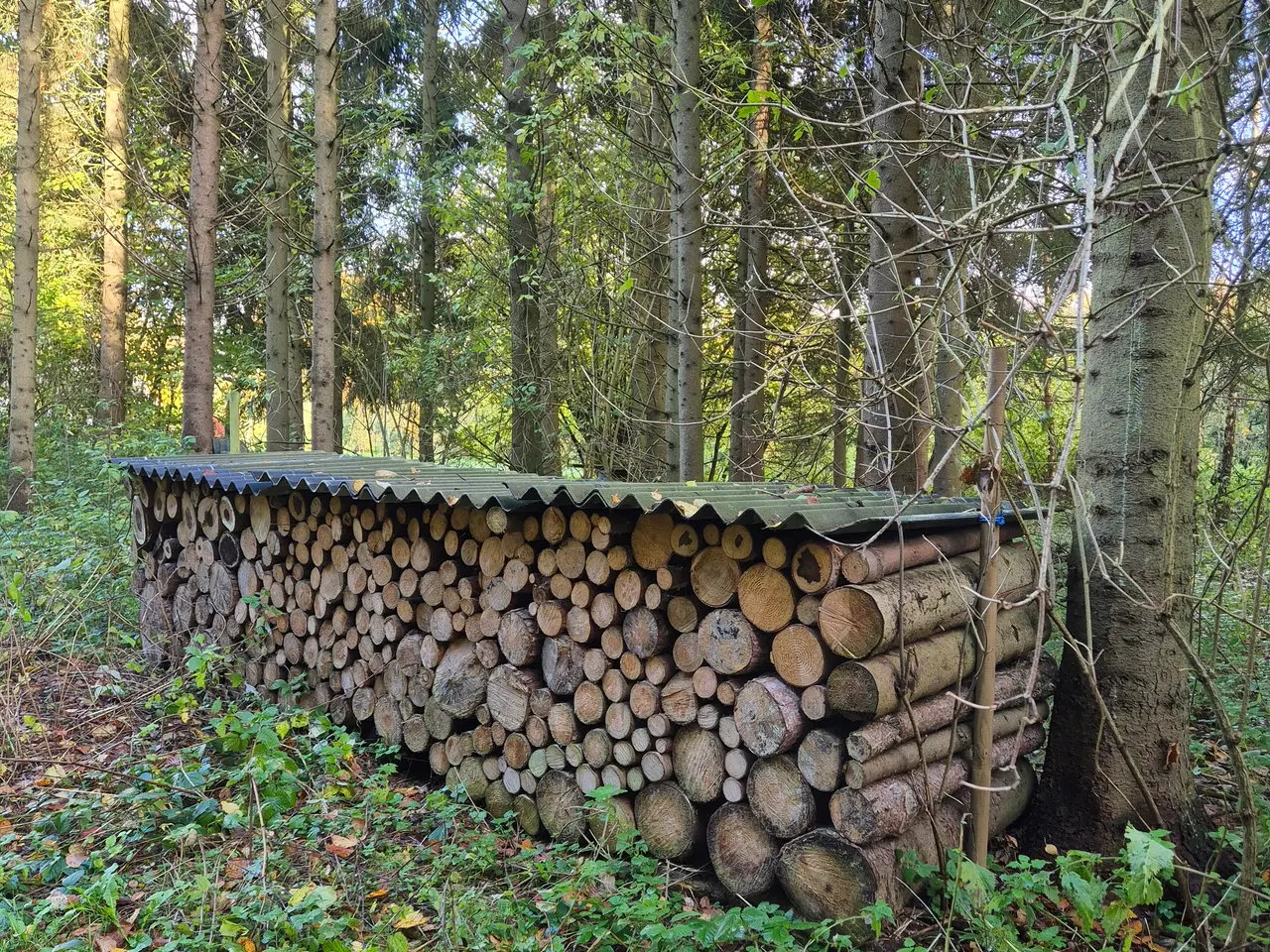 Billede 1 - Meterbrænde af Blandet Nåletræ