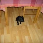 Inger-Lise2
