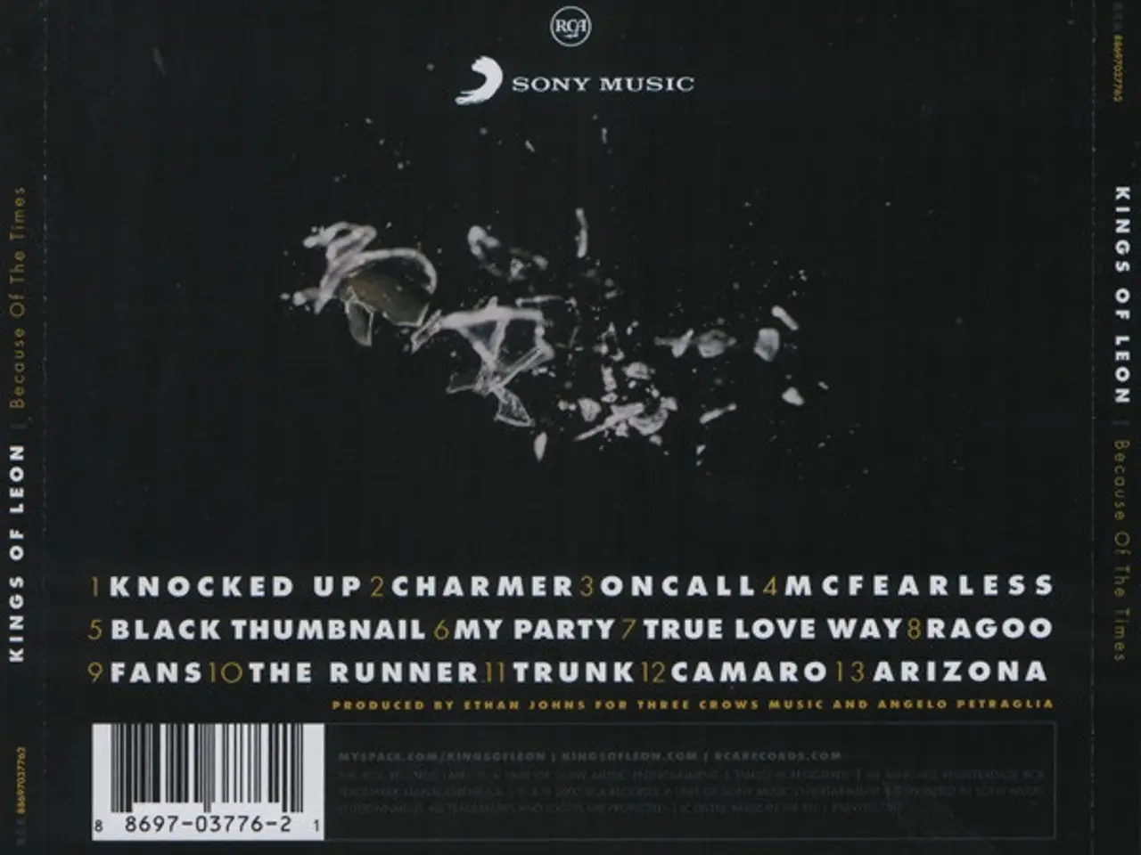 Billede 2 - Kings Of Leon – Because Of The Times – CD