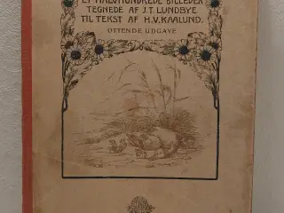 H.V. Kaalund: Fabler for Børn. Gyldendalske 1912.