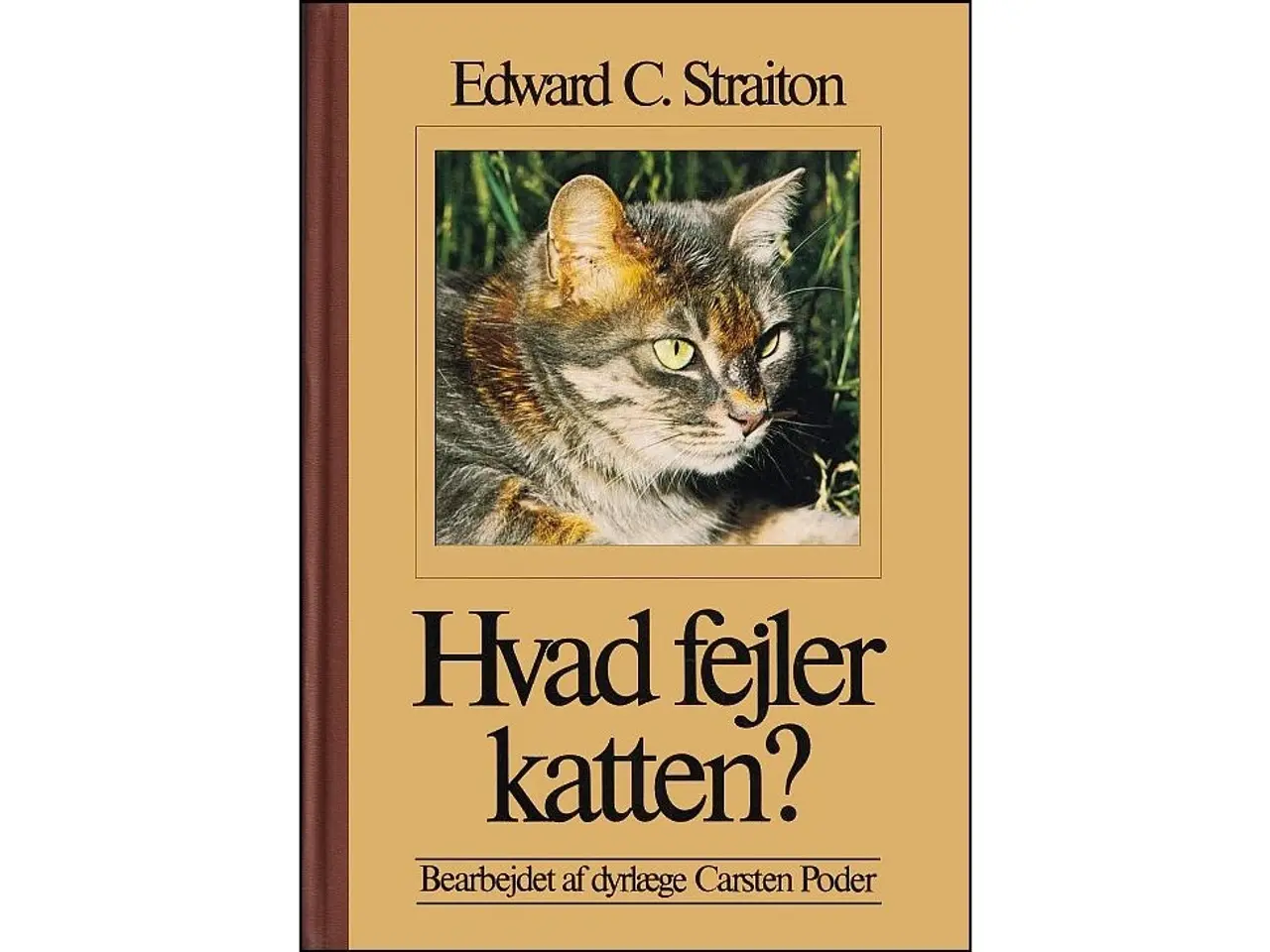 Billede 1 - Hvad fejler Katten?