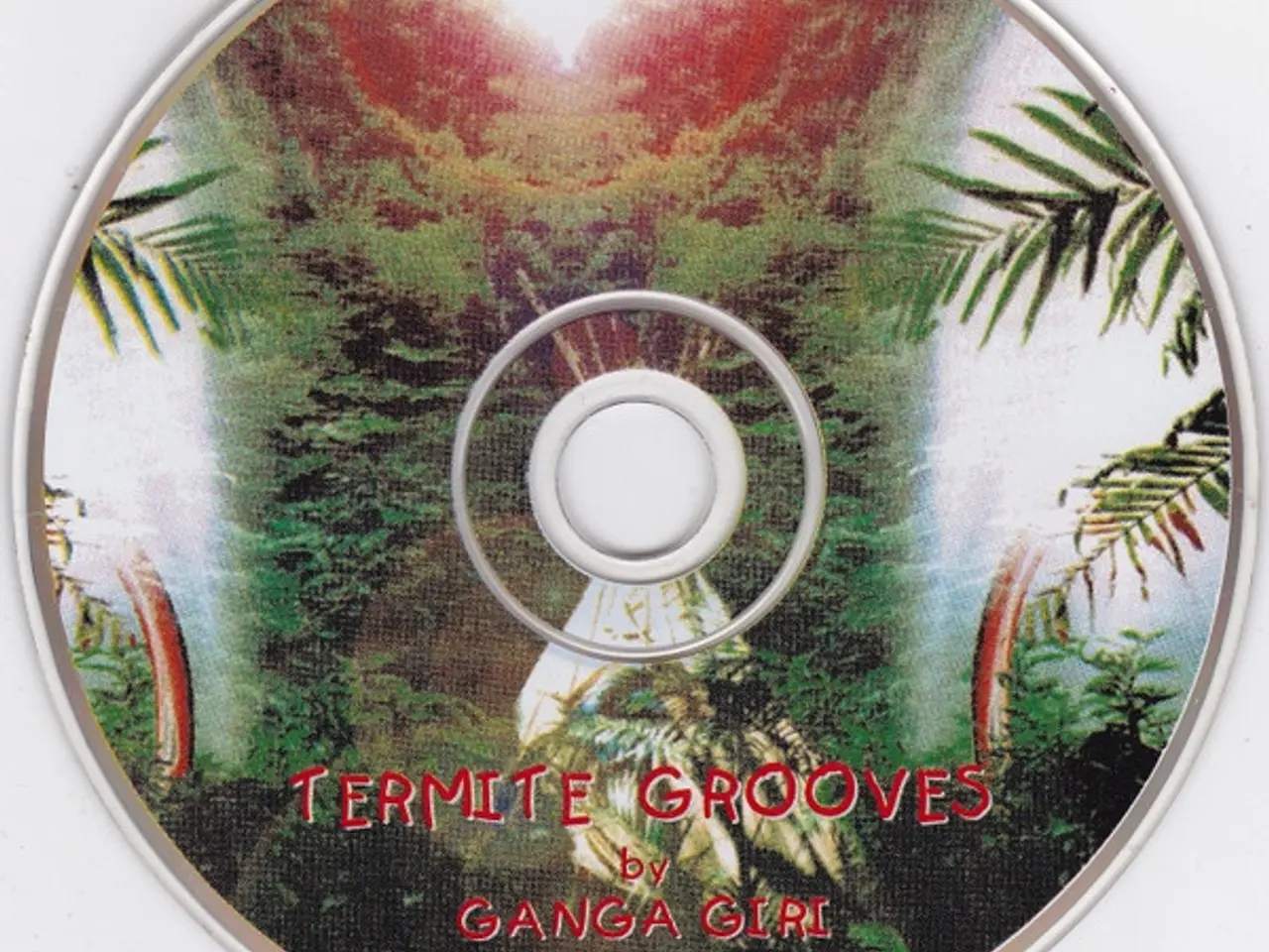 Billede 3 - Ganga Giri – Termite Grooves – CD
