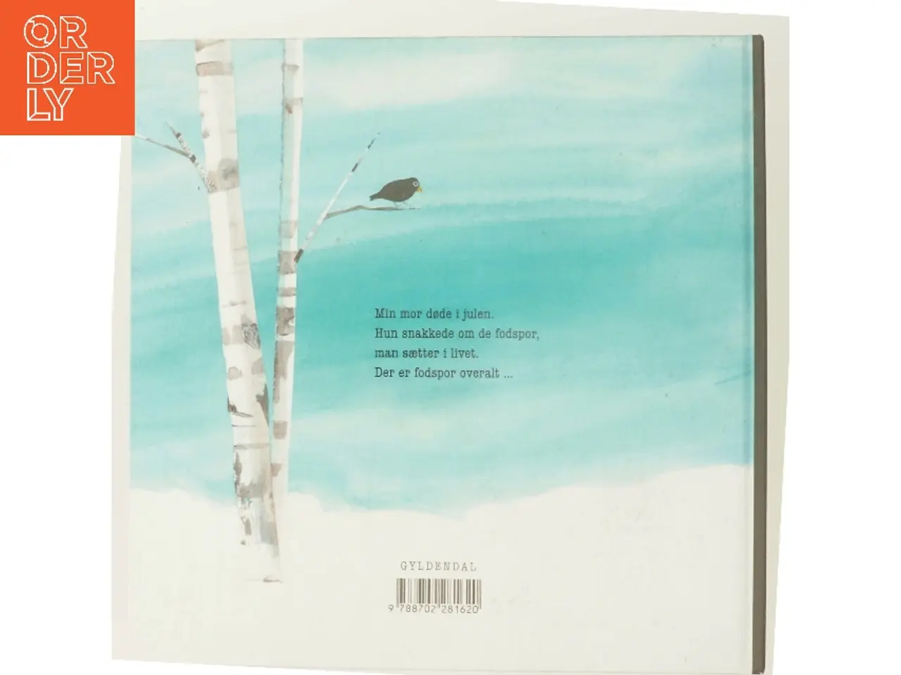 Billede 3 - Her gik Victoria (Bog)