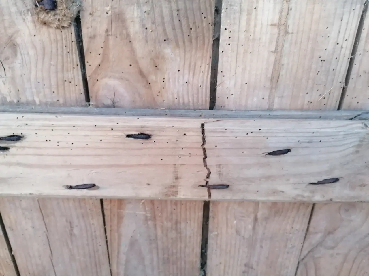 Billede 9 - Gamle Massive Trædøre Fer/Not HxB 180x82 / 176x82,