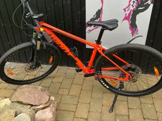 Mountainbike 