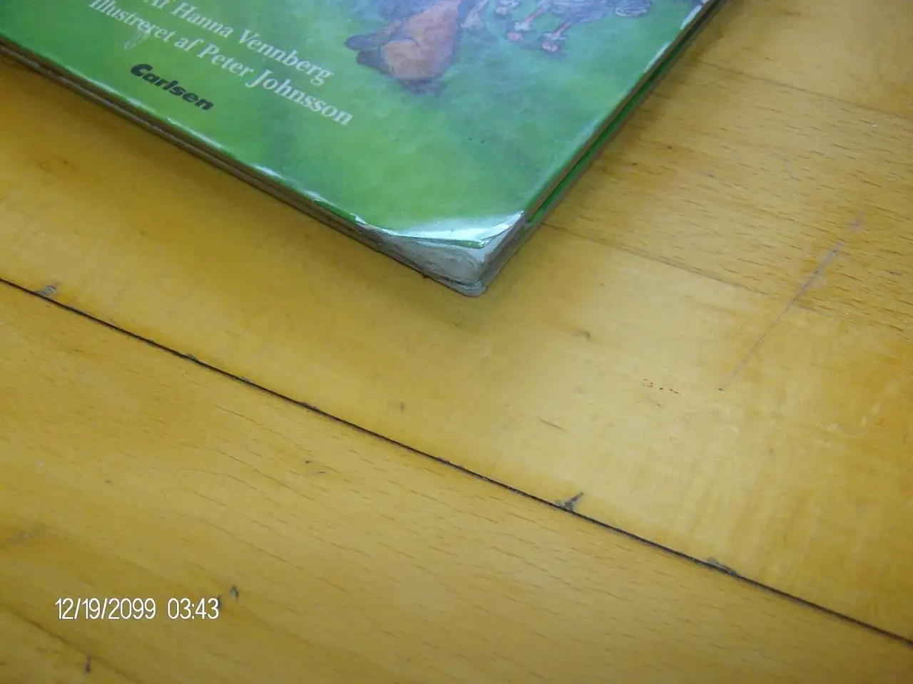 Billede 2 - Derfor vil jeg ikke have hund 